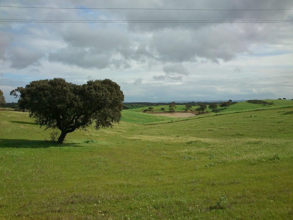 Cantar Do Grilo - Turismo Rural Serpa Eksteriør bilde